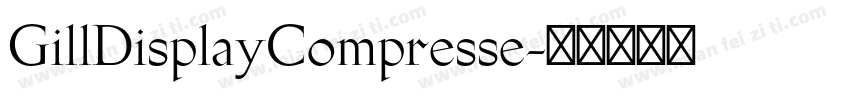 GillDisplayCompresse字体转换