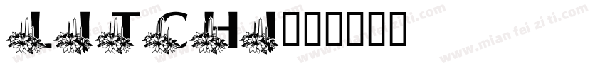 Litchi字体转换