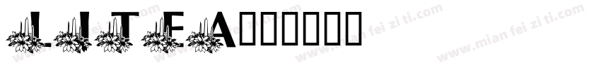 LiteA字体转换