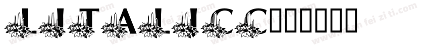 litalicC字体转换
