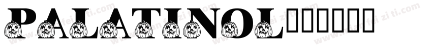 PalatinoL字体转换