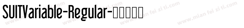 SUITVariable-Regular字体转换