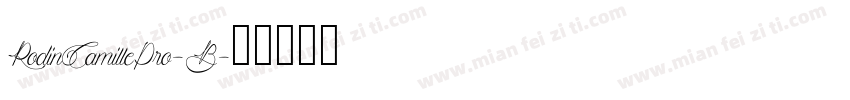RodinCamillePro-B字体转换