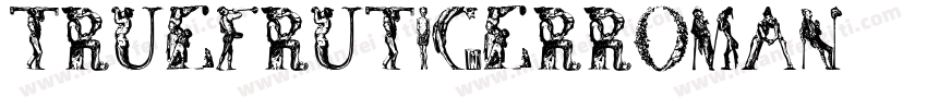truefrutigerroman字体转换