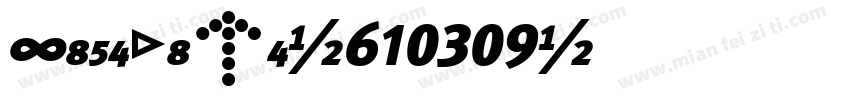Lifetime-610309字体转换