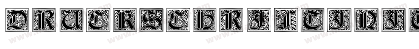 DruckschriftInitialen-RpyW字体转换