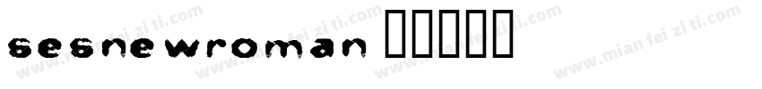 sesnewroman字体转换