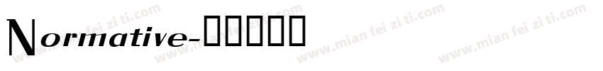Normative字体转换