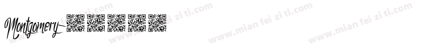 Montgomery字体转换