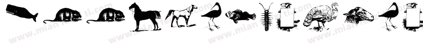 ZoomlaWenxuan字体转换