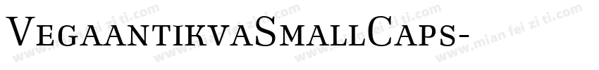 VegaantikvaSmallCaps字体转换