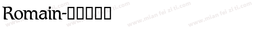 Romain字体转换