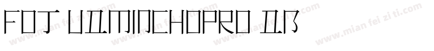FOT-UDMinchoPro-DB字体转换