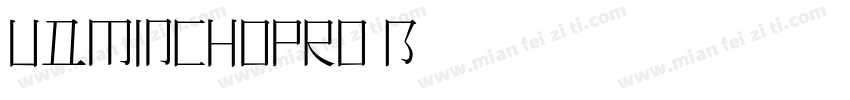 UDMinchoPro-B字体转换