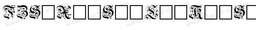 FZSuXinShiLiuKaiS-R-字体转换