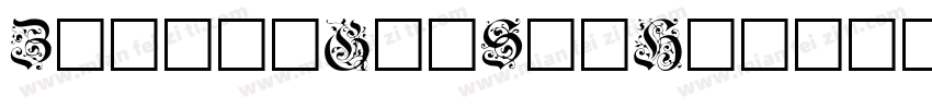ZoomlaGaiShiHero字体转换