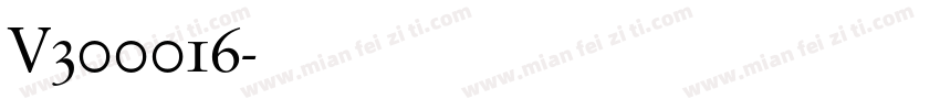 V300016字体转换