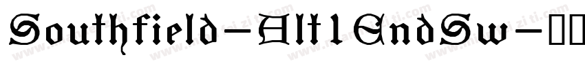 Southfield-Alt1EndSw字体转换