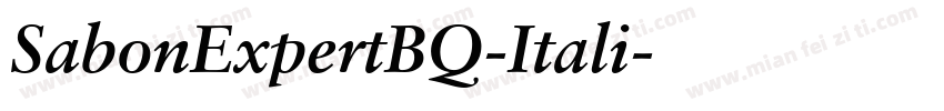 SabonExpertBQ-Itali字体转换