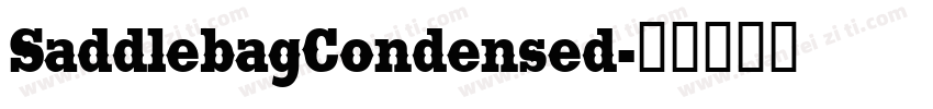 SaddlebagCondensed字体转换
