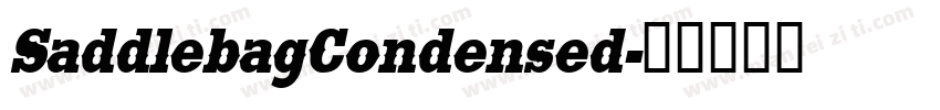 SaddlebagCondensed字体转换