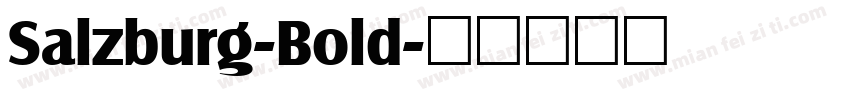 Salzburg-Bold字体转换
