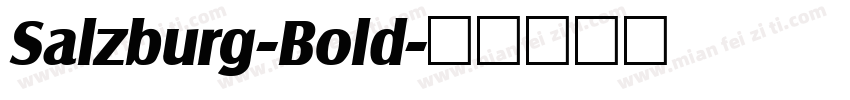 Salzburg-Bold字体转换