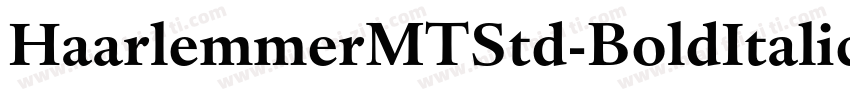 HaarlemmerMTStd-BoldItalic字体转换