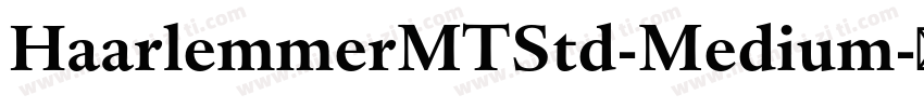 HaarlemmerMTStd-Medium字体转换