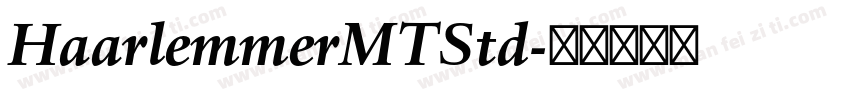 HaarlemmerMTStd字体转换