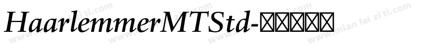 HaarlemmerMTStd字体转换