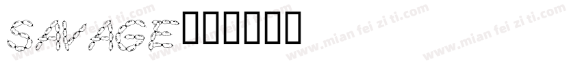 savage字体转换