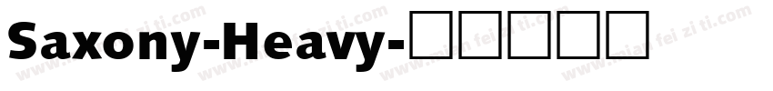 Saxony-Heavy字体转换