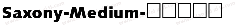 Saxony-Medium字体转换