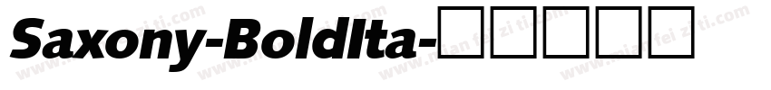 Saxony-BoldIta字体转换