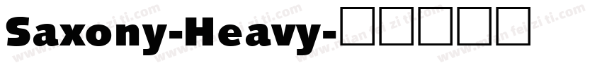 Saxony-Heavy字体转换