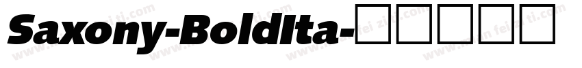 Saxony-BoldIta字体转换