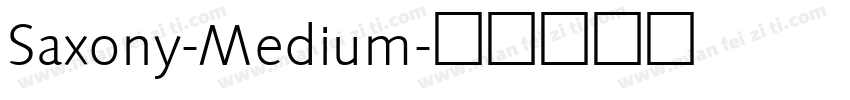 Saxony-Medium字体转换