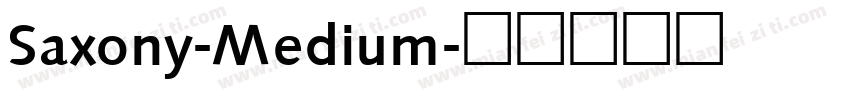 Saxony-Medium字体转换