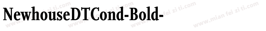 NewhouseDTCond-Bold字体转换