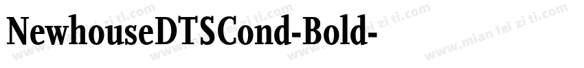NewhouseDTSCond-Bold字体转换