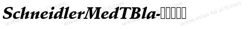 SchneidlerMedTBla字体转换
