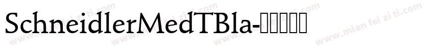 SchneidlerMedTBla字体转换