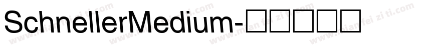 SchnellerMedium字体转换