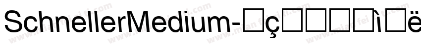SchnellerMedium字体转换