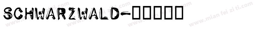 SchwarzWald字体转换