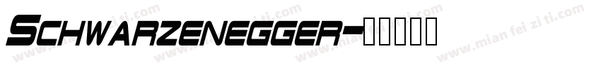 Schwarzenegger字体转换