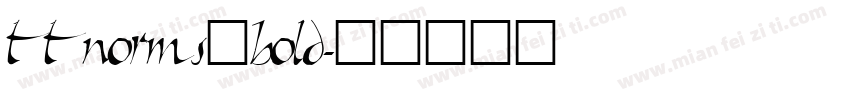 ttnorms一bold字体转换