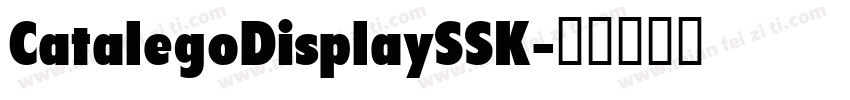 CatalegoDisplaySSK字体转换
