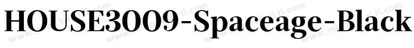 HOUSE3009-Spaceage-Black-Beta字体转换